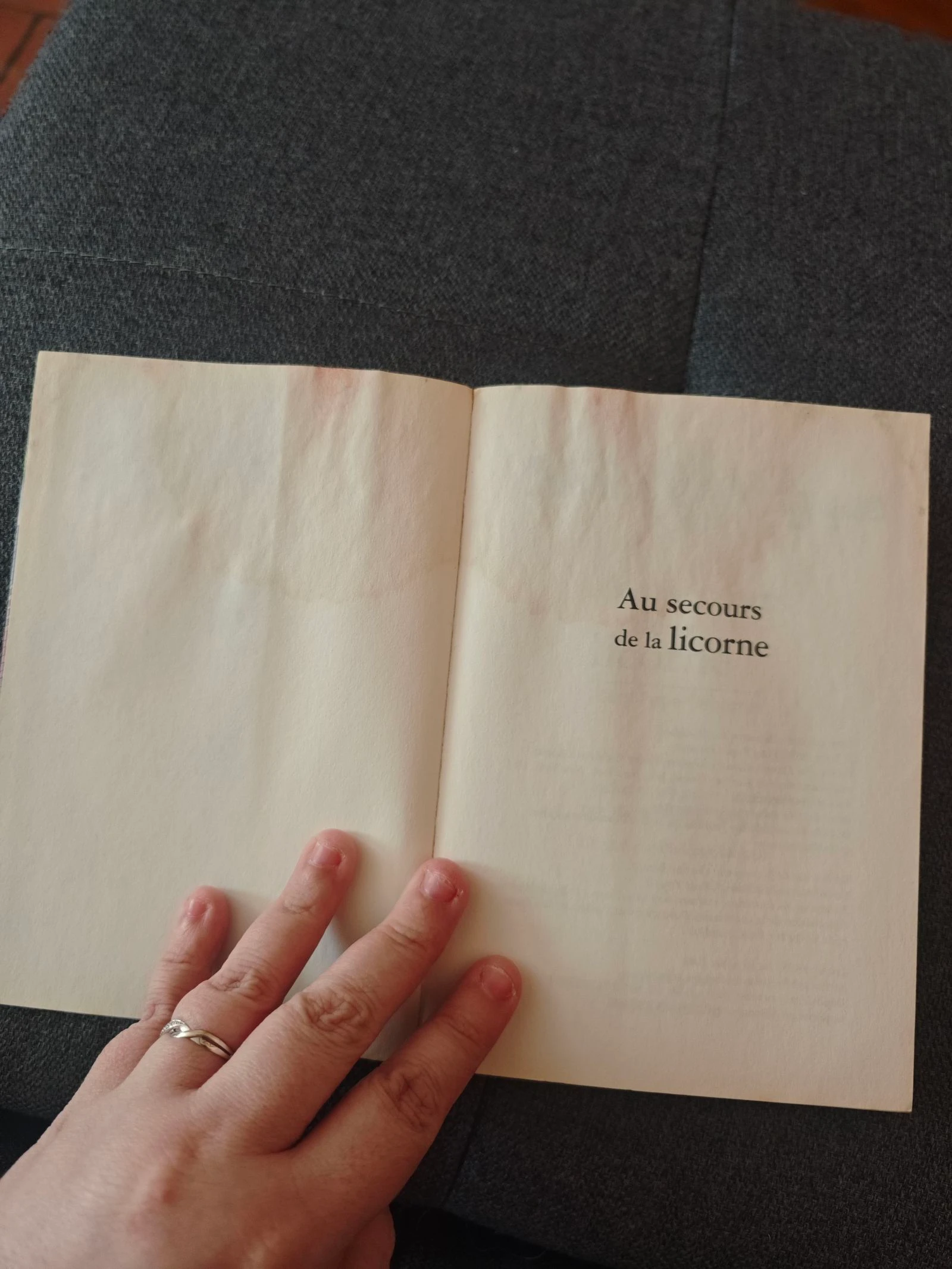 Au secours de la licorne 🦄 tome 31 (La cabane magique) – photo 4